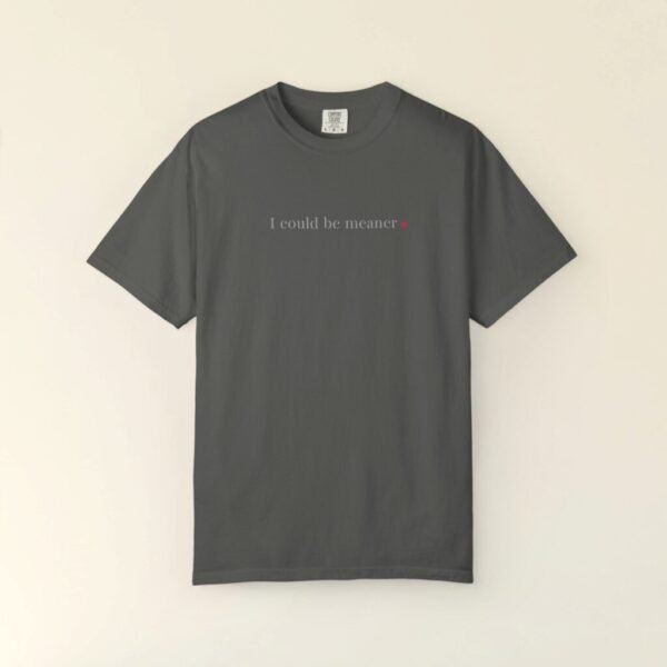 Comfort Colors® I could be meaner T-Shirt, Slogan Tee, Shirt, Women funny shirt, Men funny Tee, Apparel, Shirt for women, funny shirt, tee