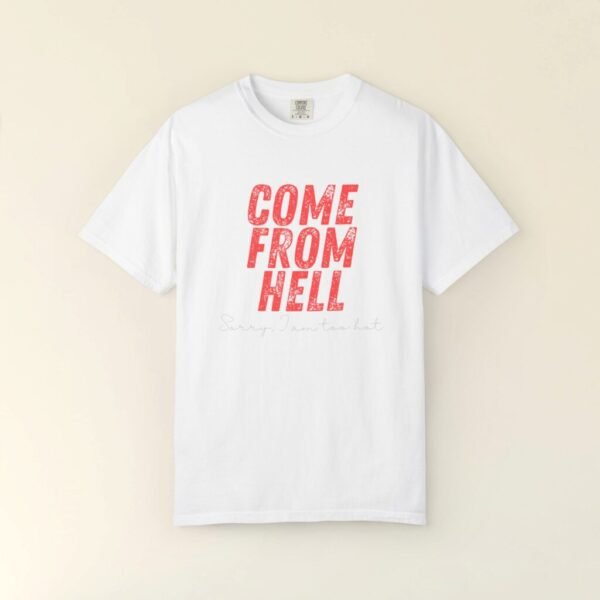 come from hell Funny T-Shirt,Too hot tee,Hot summer Tshirts, funny Gift for her,Gift for him, XL, plus size, Funny joke shirts, Humorous tee